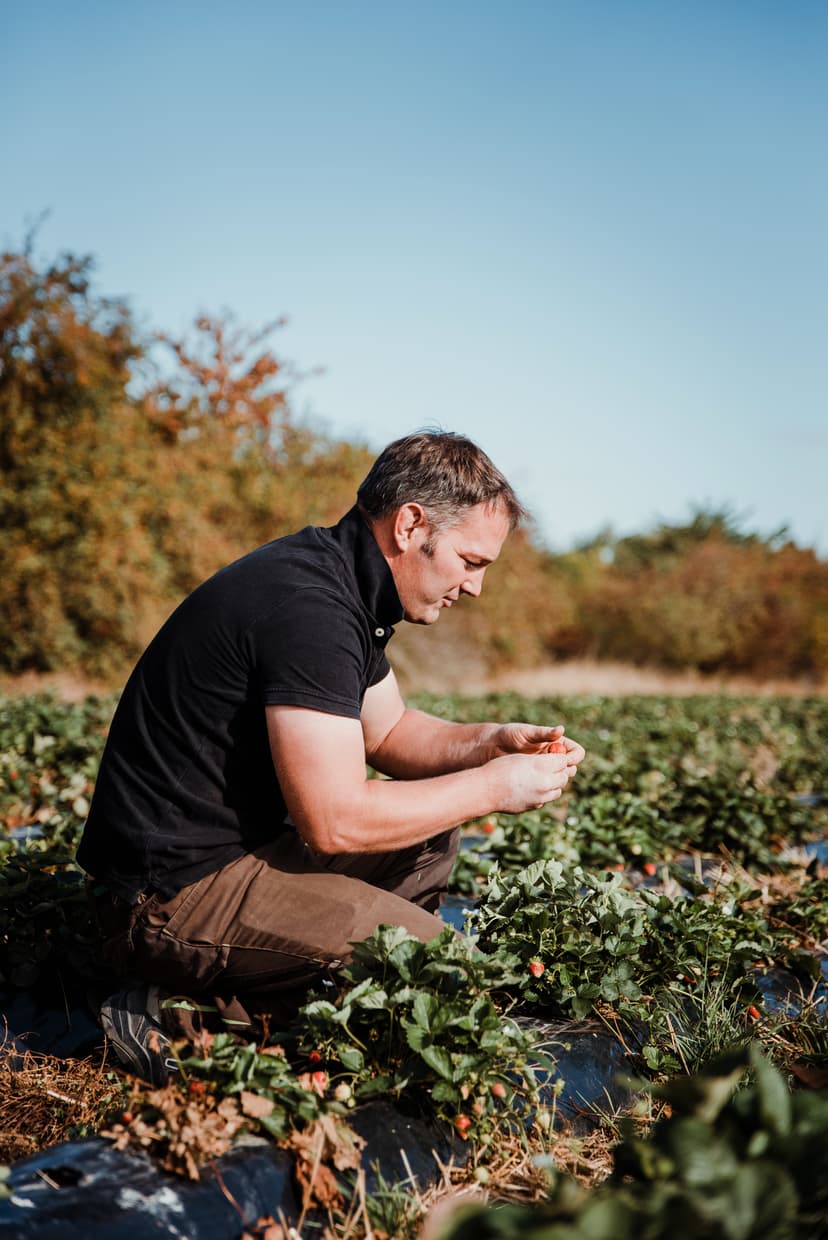 Mann bei der Bewässerung auf dem landwirtschaftlichen Feld