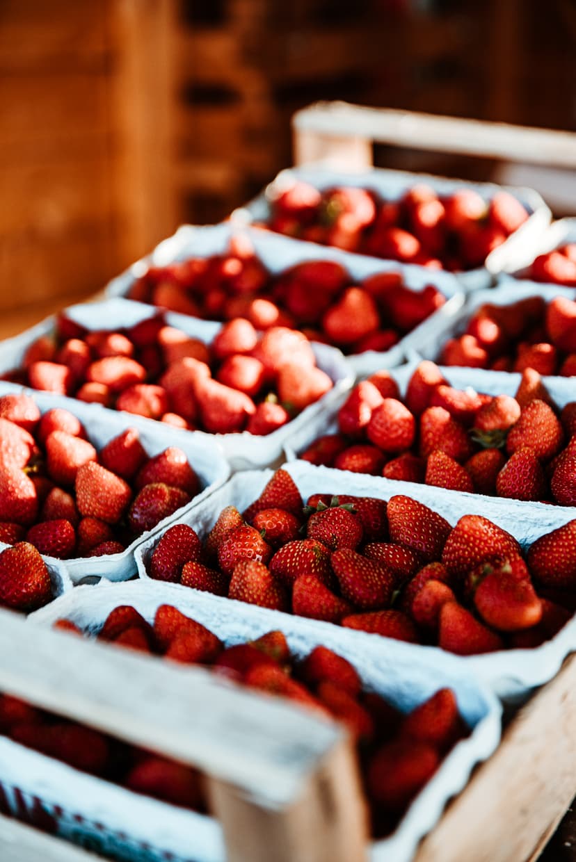 Zwei Männer im Gespräch auf dem Feld